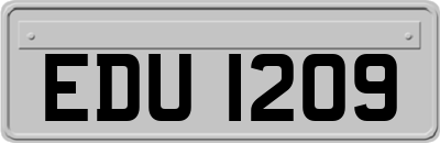 EDU1209