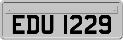 EDU1229