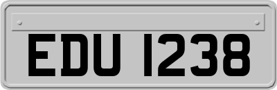 EDU1238