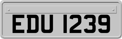 EDU1239