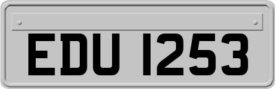 EDU1253