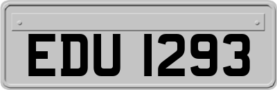 EDU1293