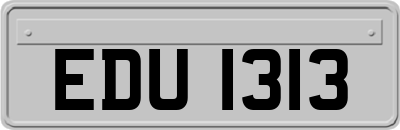 EDU1313
