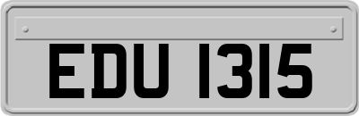 EDU1315
