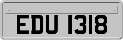 EDU1318