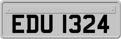EDU1324