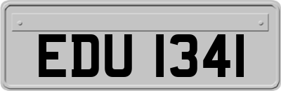 EDU1341