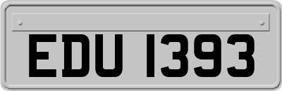 EDU1393