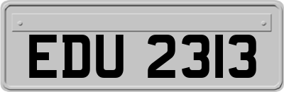 EDU2313