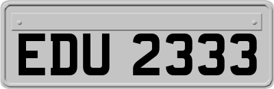 EDU2333