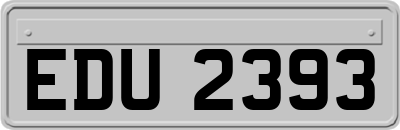 EDU2393