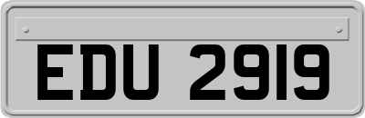 EDU2919