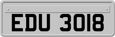 EDU3018