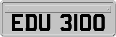 EDU3100