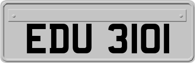 EDU3101