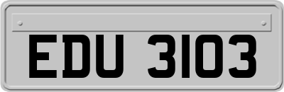 EDU3103