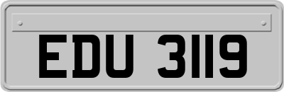 EDU3119