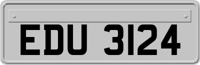 EDU3124