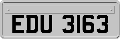 EDU3163