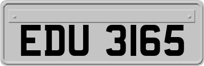 EDU3165
