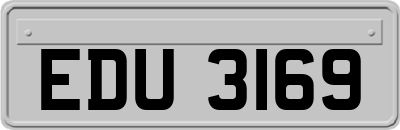 EDU3169