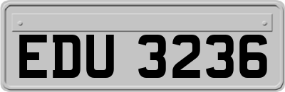 EDU3236