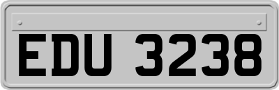 EDU3238
