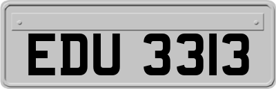EDU3313