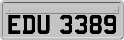 EDU3389