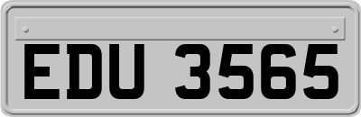 EDU3565