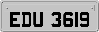 EDU3619