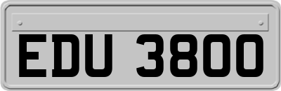 EDU3800