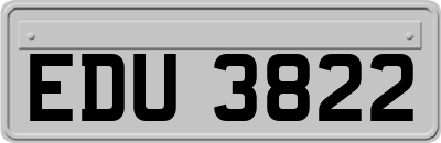 EDU3822