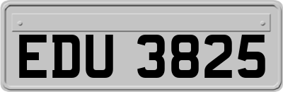 EDU3825