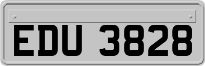 EDU3828