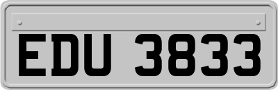 EDU3833