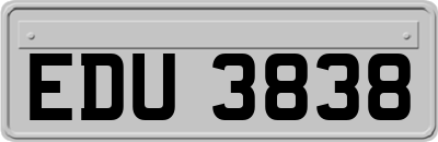 EDU3838