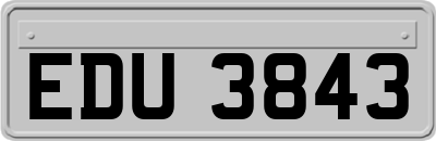 EDU3843