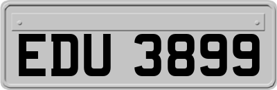 EDU3899