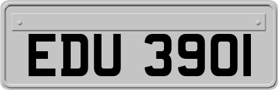 EDU3901