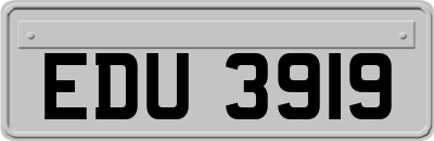 EDU3919
