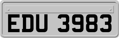 EDU3983