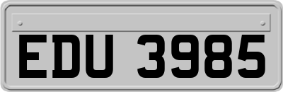 EDU3985