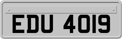 EDU4019