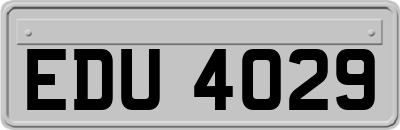 EDU4029