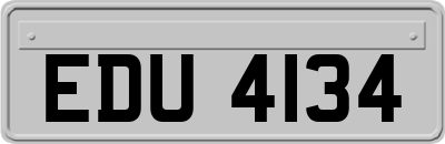 EDU4134