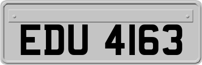 EDU4163
