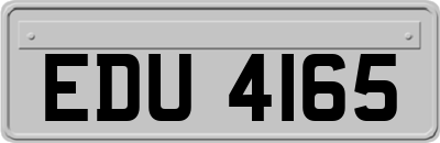 EDU4165