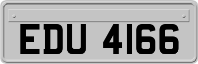 EDU4166