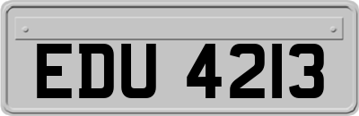 EDU4213